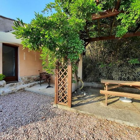 Le Lodge Des Chenes Brousses-et-Villaret Экстерьер фото