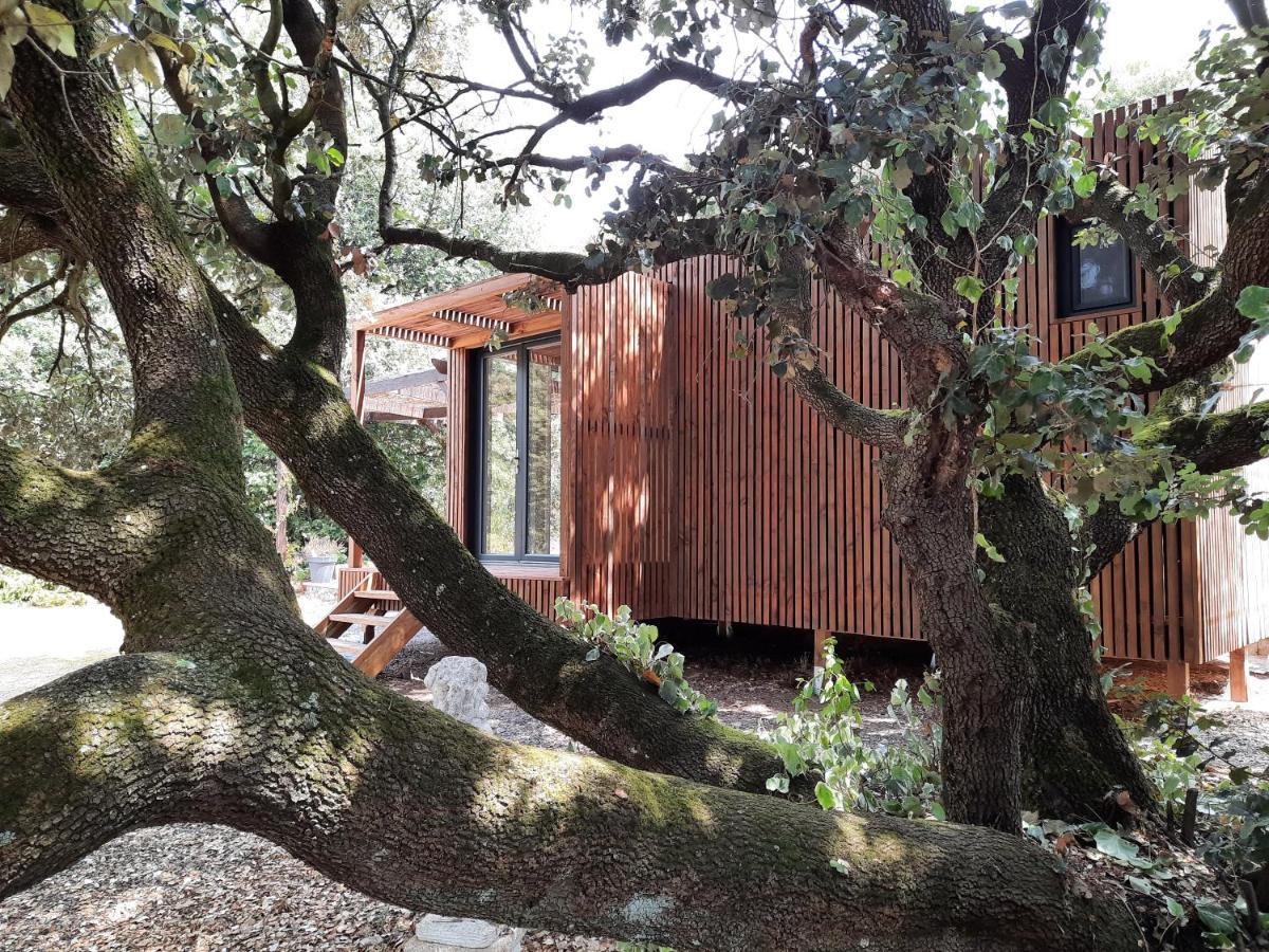 Le Lodge Des Chenes Brousses-et-Villaret Экстерьер фото