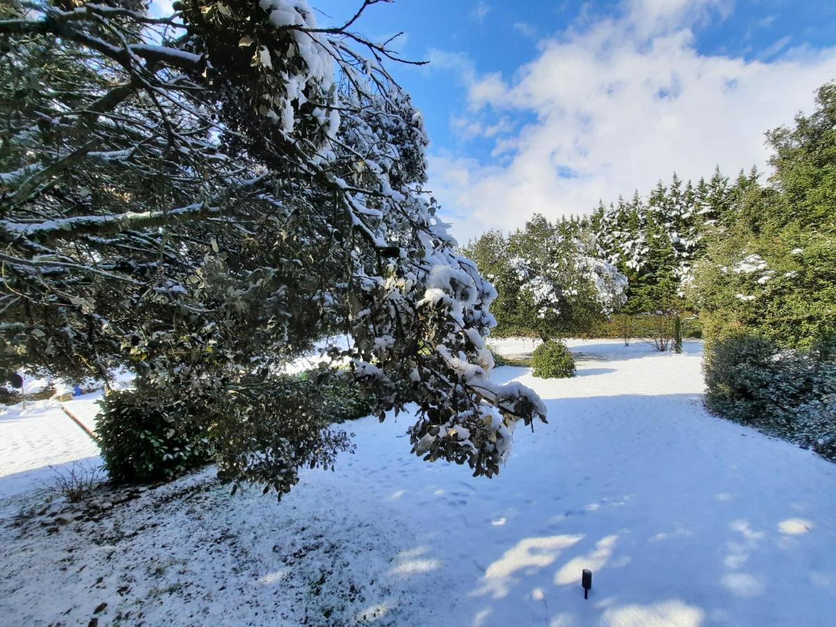 Le Lodge Des Chenes Brousses-et-Villaret Экстерьер фото